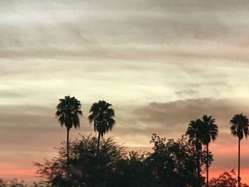 Silhouette palm trees against sky during sunset