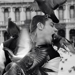 Man biting pigeon perching on his shoulder