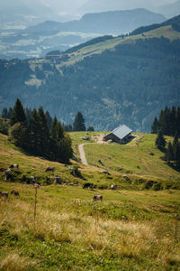 Scenic view of landscape and mountains against sky