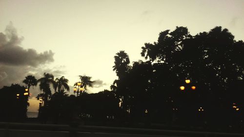 Silhouette trees against sky during sunset