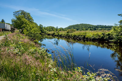 Scenic view of lake by trees against sky