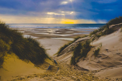Scenic view of beach against sky