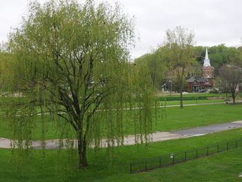 Trees on grassy field against cloudy sky