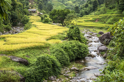 High angle view of land