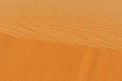 Full frame shot of sand dune