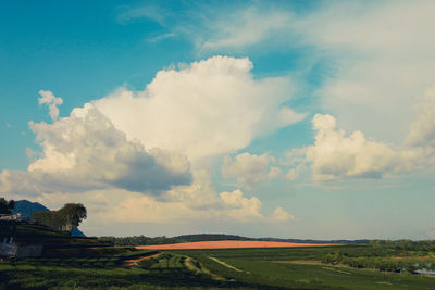 Scenic view of agricultural field against sky