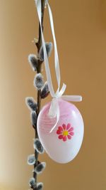 Close-up of pink easter egg hanging on plant against yellow background