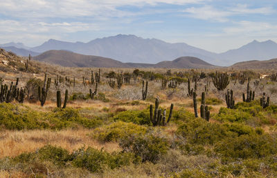 Scenic view of mountains against sky