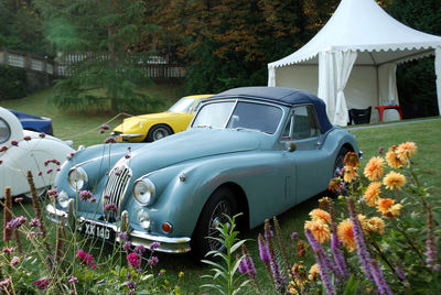 Vintage car on field