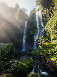 Scenic view of waterfall in forest