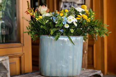 Close-up of potted plant