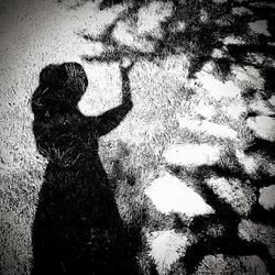 Woman standing on tree trunk