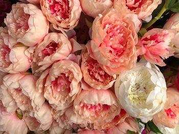 High angle view of rose bouquet