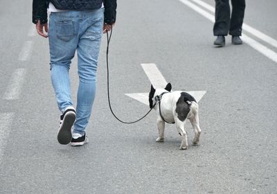 Low section of man with dog walking on road