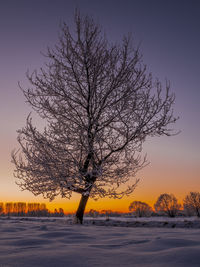 Bare tree on snow covered field against sky during sunset
