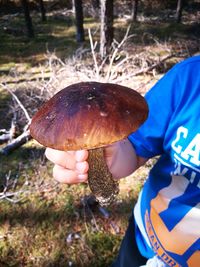 Close-up of mushroom growing on field