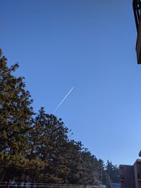 Low angle view of trees against clear blue sky