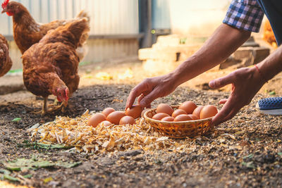 Midsection of man preparing food