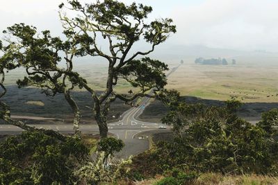 Sitting on the hill, looking towards the road to mauna kea 