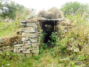 Stone wall in a field