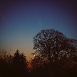 Low angle view of bare trees against sky