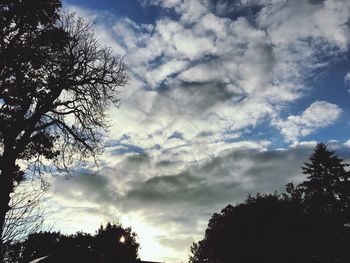 Low angle view of silhouette trees against sky