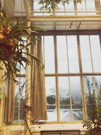 Low angle view of greenhouse against sky