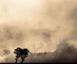 Silhouette tree against sky during sunset