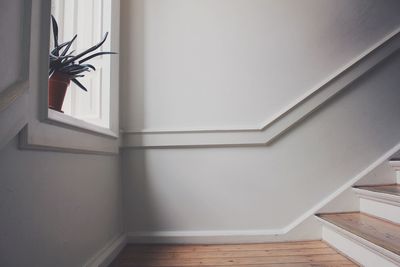 Potted plant on window sill by staircase at home