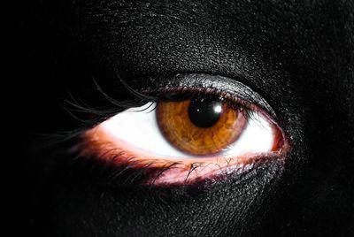 Extreme close up of human eye