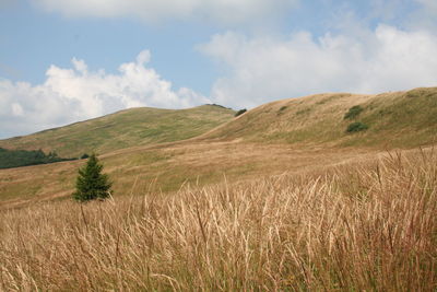 Scenic view of grassy field against cloudy sky