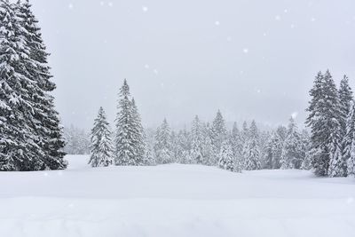 Snow covered field by trees against sky