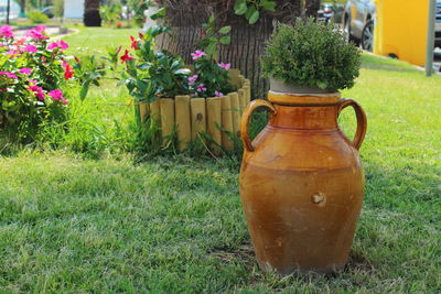 Close-up of flower pot on field