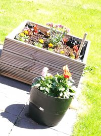 High angle view of potted plants in yard