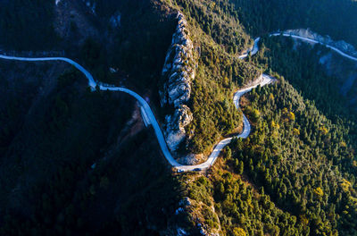 High angle view of road amidst trees