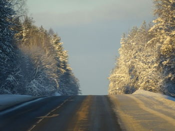 winter