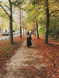 Woman walking away along park alley covered in autumn leaves