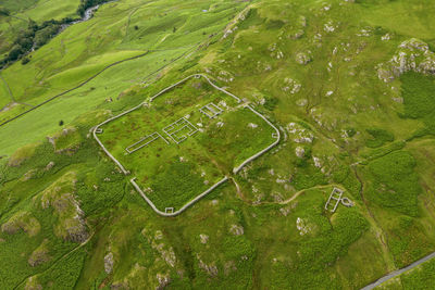 High angle view of green farm