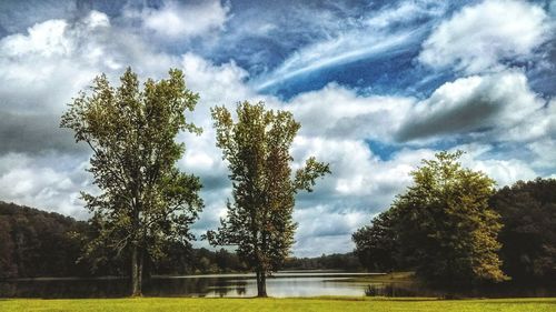 Trees on field against sky