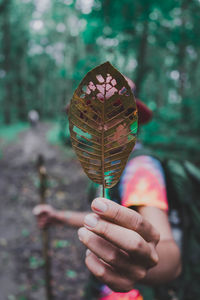 Side view of man holding dry leaf while standing against trees in forest