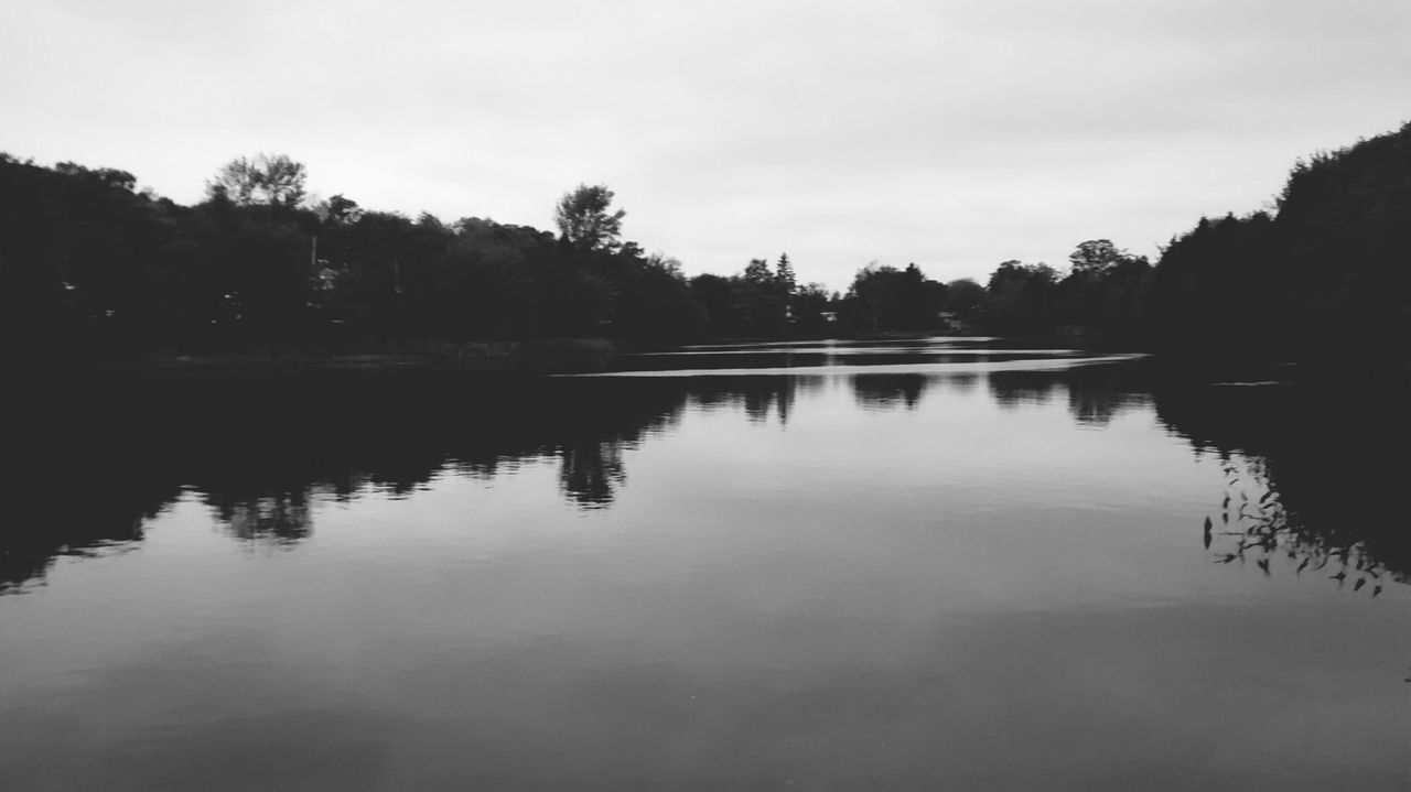 tree, water, reflection, tranquil scene, tranquility, lake, waterfront, scenics, beauty in nature, sky, nature, standing water, calm, silhouette, idyllic, river, growth, clear sky, outdoors, no people