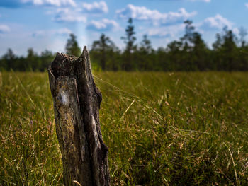 Close-up of wooden post on field against sky