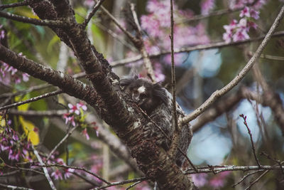 Low angle view of bird perching on branch