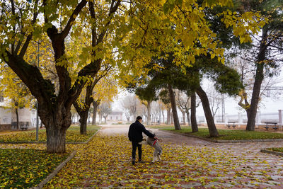 Rear view of people walking on footpath in park during autumn