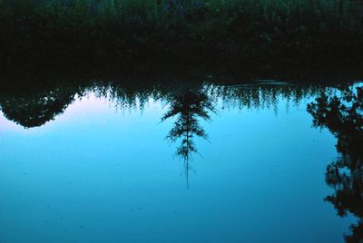 Reflection of trees in lake against blue sky