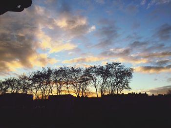 Silhouette of trees at sunset