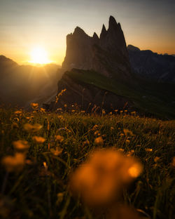 Seceda, dolomites - panoramic view of mountains during sunset