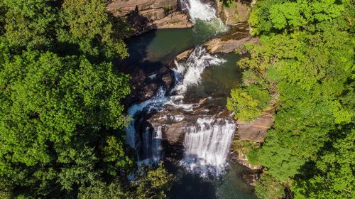 Waterfall in forest