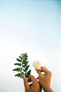Close-up of hand holding plant against sky