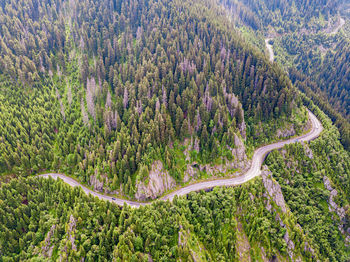 Winding road aerial view by drone. sibii, romania. a great place to drive and stop during a trip.